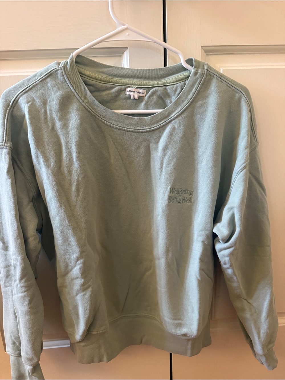 Light Sage Green Crewneck Sweatshirt
